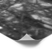 Poster Immense Teddy Roosevelt À La Tête D'Une Oie À Taur (Coin)