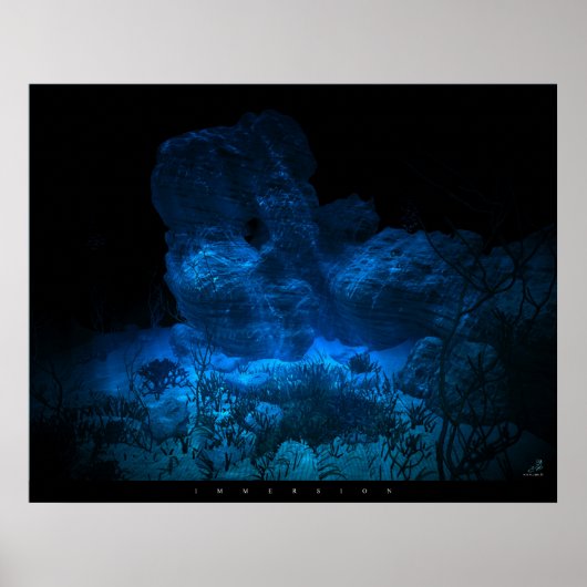 Poster Immersion (Devant)