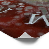 Poster Immortalité (Coin)