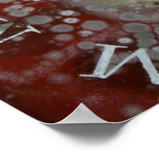 Poster Immortalité (Coin)