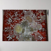 Poster Immortalité (Devant)