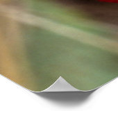 Poster Impala Lily (Adenium Multiflorum), Kruger (Coin)