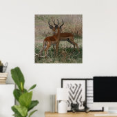 Poster Impalas sur le Serengeti - Imprimer (Bureau à domicile)