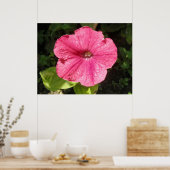Poster Impatiens rose foncé (Cuisine)