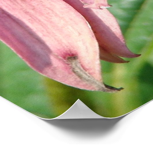 Poster Imperfection (Coin)