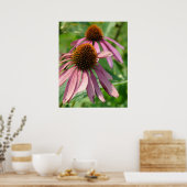 Poster Imperfection (Cuisine)