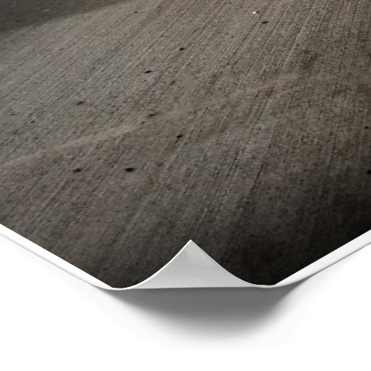 Poster Importer Racer (Coin)