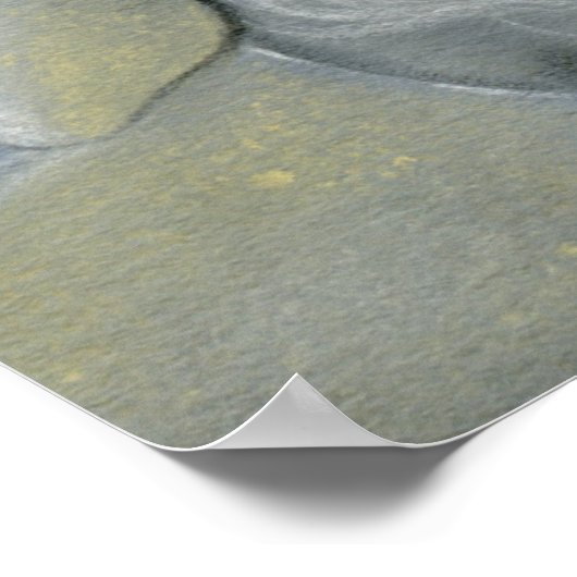 Poster Impression/affiche d'été oubliée (Coin)