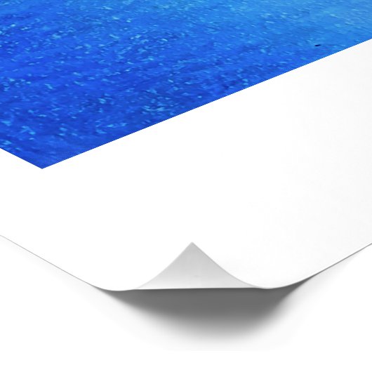 Poster Impression Calla Lilies (Coin)