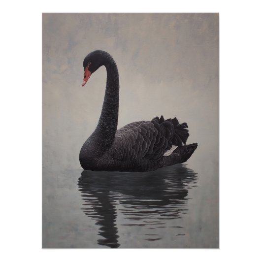 Poster Impression d'art Cygne noir antique (Devant)