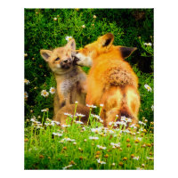 Impression d'art de la faune et de la nature Le Ba