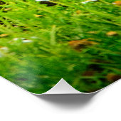 Poster Impression d'art de la faune et de la nature Le Ba (Coin)