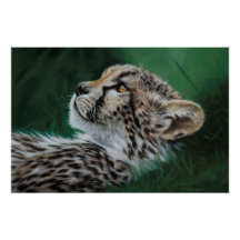 Impression d'art fine de bébé guépard 71x47cm