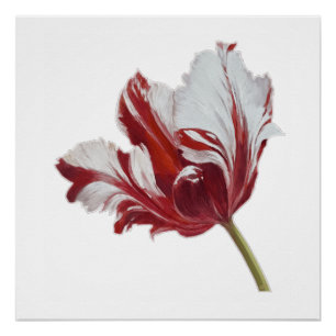 Poster Impression d'art fine de tulipe perroquet