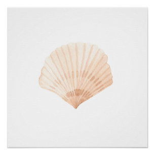 Poster Impression de l'aquarelle de la coquille de la sai