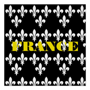 Poster Impression héraldique médiévale de France Art mono