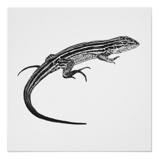 Poster Impression monochrome de lézard (Devant)