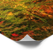 Poster Impressionnant automne Réflexions Nature (Coin)