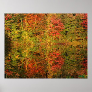 Poster Impressionnant automne Réflexions Nature