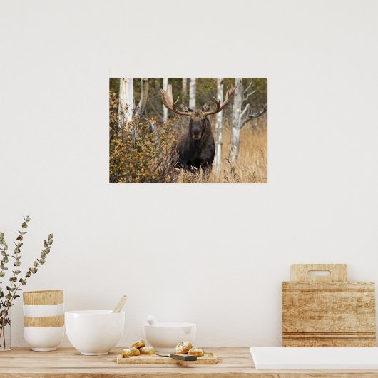 Poster Impressionnant orignal (Cuisine)