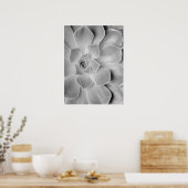 Poster Imprimable Cactus noir et blanc (Cuisine)