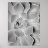 Poster Imprimable Cactus noir et blanc (Devant)