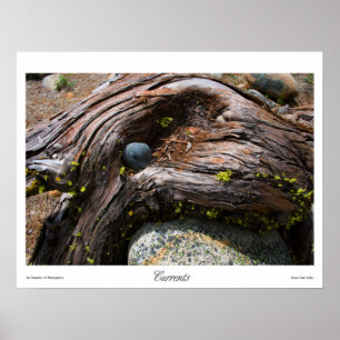 Poster Imprimantes courants