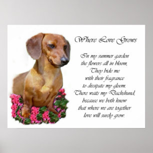 Poster Imprimantes Dachshund Art
