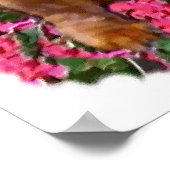 Poster Imprimantes Dachshund Art (Coin)