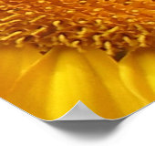 Poster Imprimantes d'affiche de tournesol (Coin)