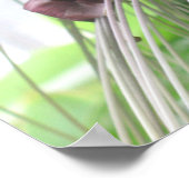 Poster Imprimantes d'affiches Plantes tropicales (Coin)