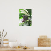 Poster Imprimantes d'affiches Plantes tropicales (Cuisine)