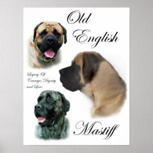 Poster Imprimantes d'art Mastiff en anglais