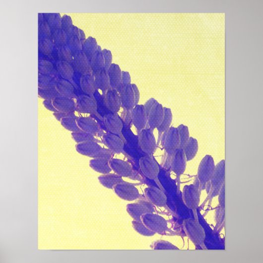 Poster Imprimantes printemps (Devant)