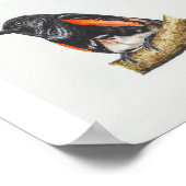Poster Imprimé américain Redstart Warbler Art (Coin)