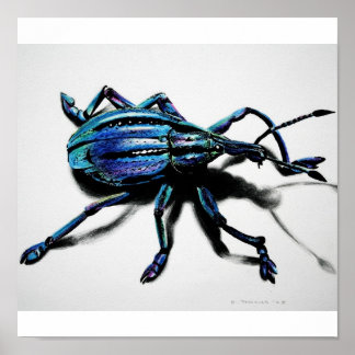 Poster Imprimé bleu