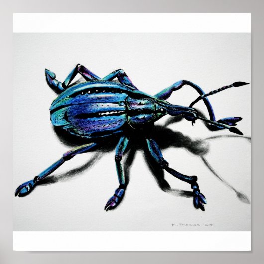 Poster Imprimé bleu (Devant)