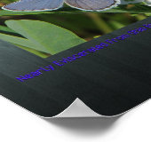 Poster imprimé bleu karner (Coin)