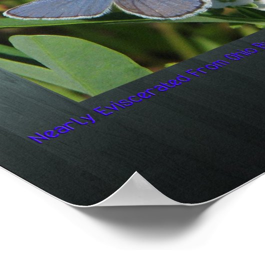 Poster imprimé bleu karner (Coin)