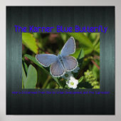 Poster imprimé bleu karner (Devant)