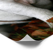 Poster imprimé d'affiche Bulldog en anglais (Coin)