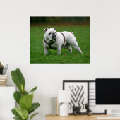 Poster imprimé d'affiche Bulldog en anglais (Bureau à domicile)