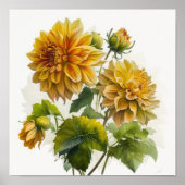Poster imprimé Dahlias Jaune (Devant)