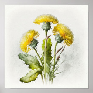 Poster imprimé Dandelions Jaunes