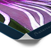 Poster Imprimé de l'art fritillaire du Golfe -20x24 -ou p (Coin)