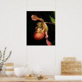 Poster Imprimé de l'orchidée Lady's-Slipper -20x24 -ou pl (Cuisine)