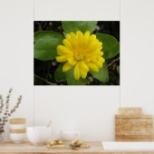 Poster Imprimé de Souci Jaune Clair (Cuisine)