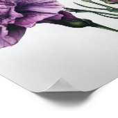 Poster imprimé d'oeillets violets (Coin)