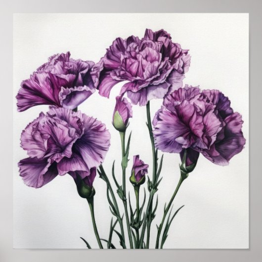 Poster imprimé d'oeillets violets (Devant)