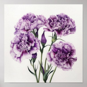 Poster imprimé d'oeillets violets